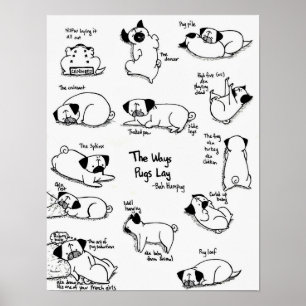Affiches The Ways Pugs Lay