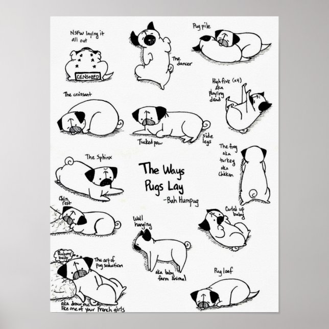Affiches The Ways Pugs Lay (Devant)