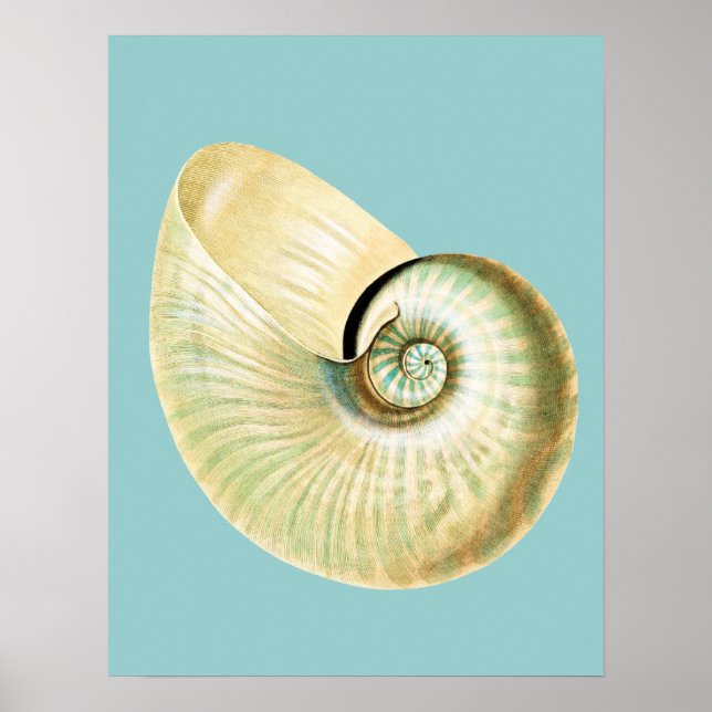 Affiches Thème Plage Inspiré Zen (Devant)