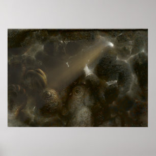 Affiches Therone   Grotte étrange