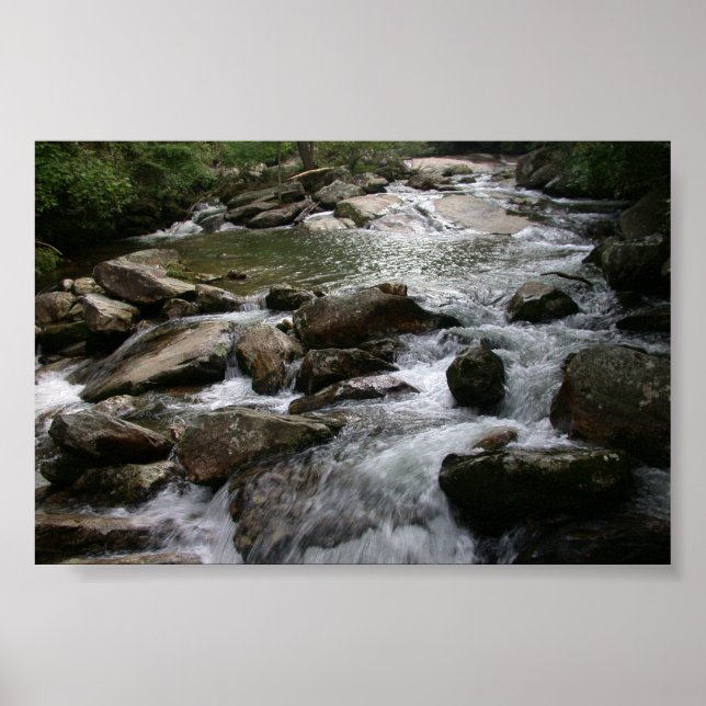 Affiches Thompson (Devant)