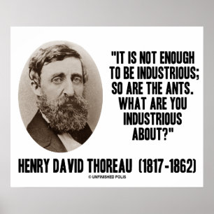 Affiches Thoreau Ne Suffit Pas Pour Être Industrielle, De M