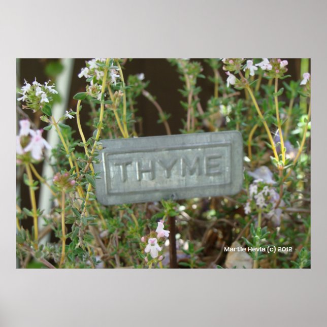 Affiches Thyme (Devant)