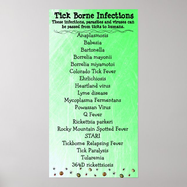 Affiches Tick Borne Infection list Lyme Sensibilisation Pos (Devant)