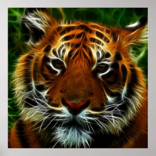 AFFICHES TIGER