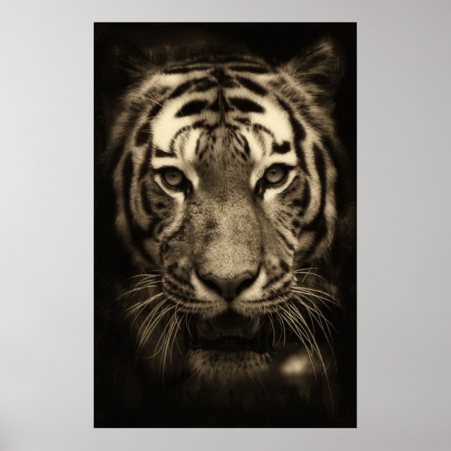 Affiches Tiger face dans les tons Sepia (Devant)