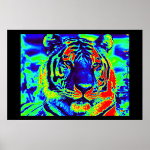 Affiches Tiger Spirit