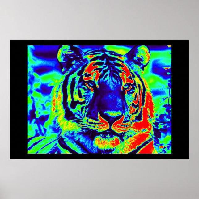 Affiches Tiger Spirit (Devant)