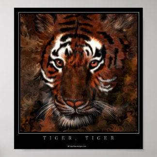 Affiches Tiger, Tiger