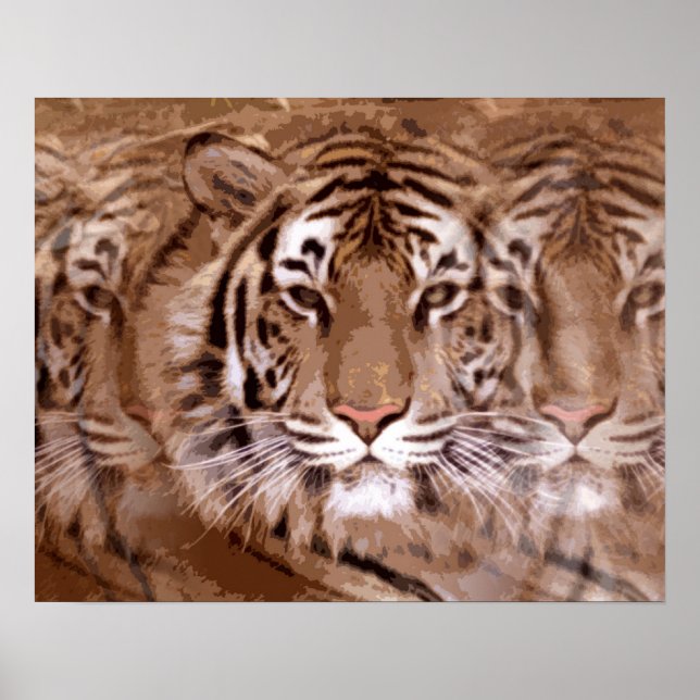 Affiches Tigre (Devant)