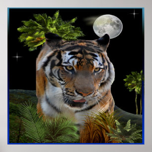 Affiches Tigre