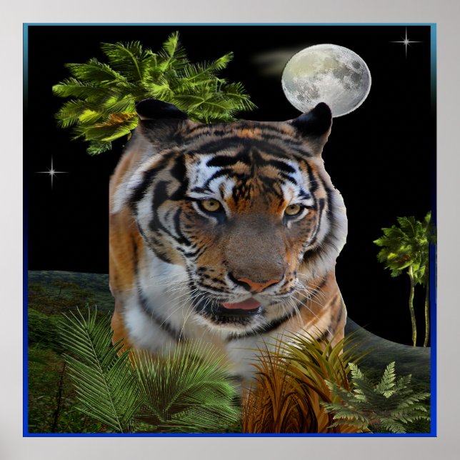 Affiches Tigre (Devant)
