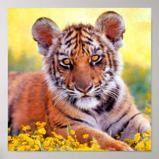 Affiches Tigre Baby Cub