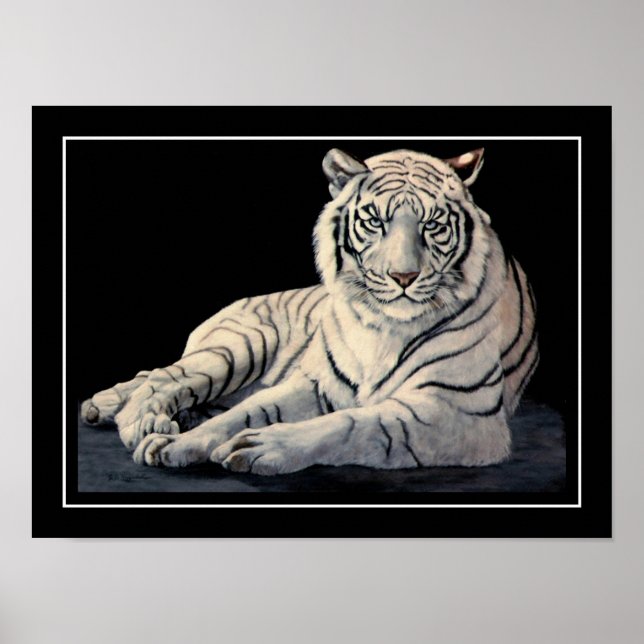 Affiches Tigre blanc (Devant)