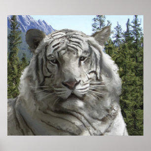 Affiches TIGRE BLANC dans son habitat forestier