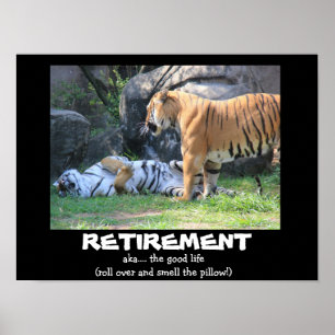 Affiches Tigre drôle de sommeil (16x12), RETRAITE