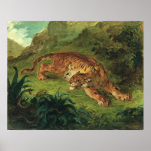 Affiches Tigre et serpent, 1858