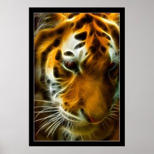 Affiches Tigre flamboyant