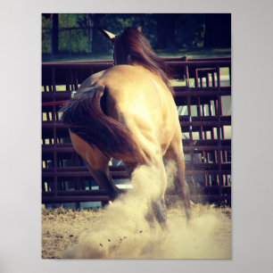 Affiches Tirer la poussière