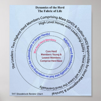 Affiches Tissu dynamique du troupeau de vie