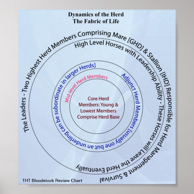 Affiches Tissu dynamique du troupeau de vie (Devant)