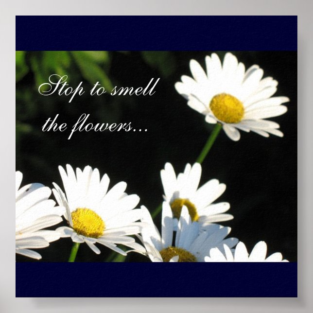 Affiches Toile Fleurs (Devant)