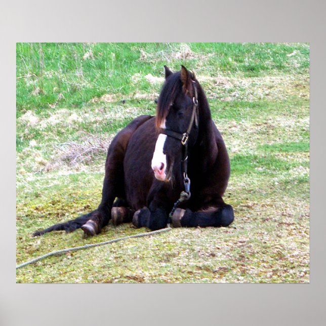 Affiches Toile Jours Lazy (Devant)
