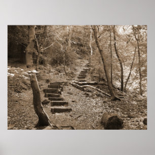 Affiches Toile XL Forrest Steps