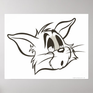 Affiches Tom Sleepy Chat