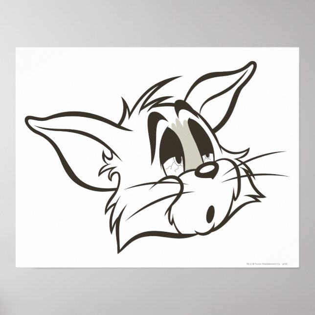 Affiches Tom Sleepy Chat (Devant)