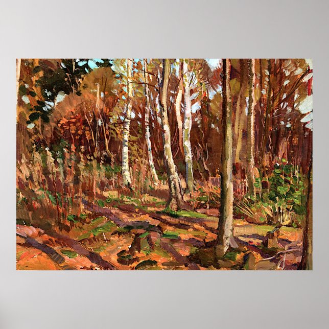 Affiches Tom Thomson - Vue sur le parc Algonquin (Devant)