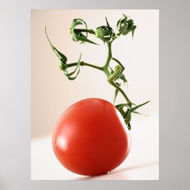 Affiches Tomate (Devant)