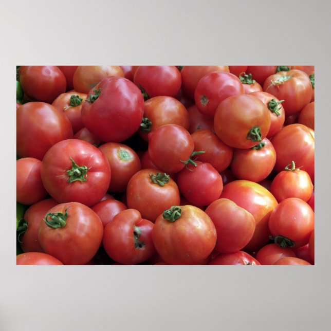 Affiches Tomates (Devant)
