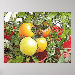 Affiches Tomates de jardin frais de l'Héirloom