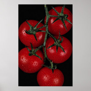 Affiches tomates rouges fraîches et juteuses