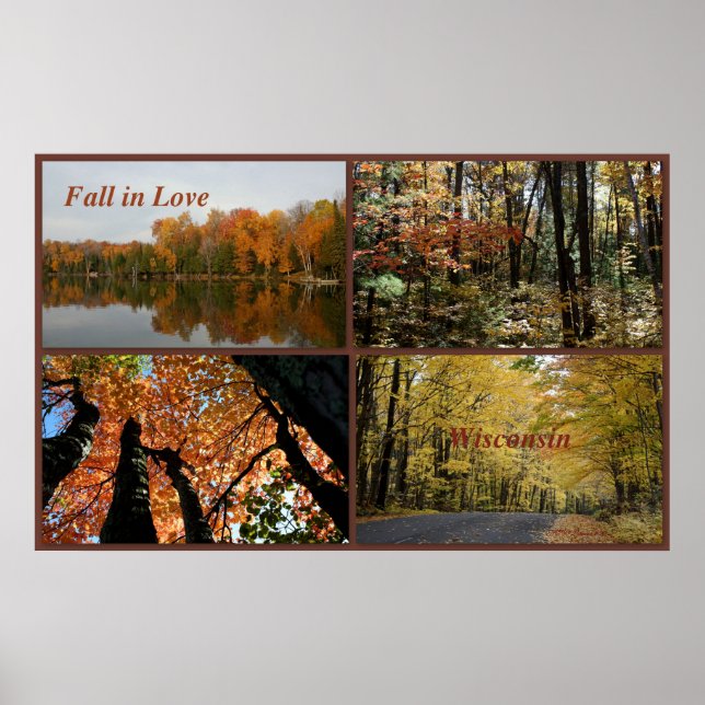 Affiches Tomber dans l'amour Wisconsin (Devant)