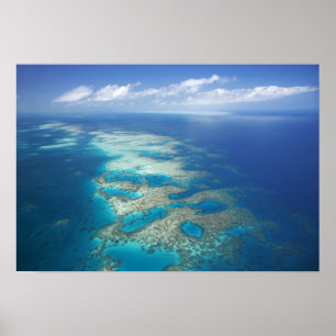 Affiches Tongue Reef, Great Barriere Marine Park,