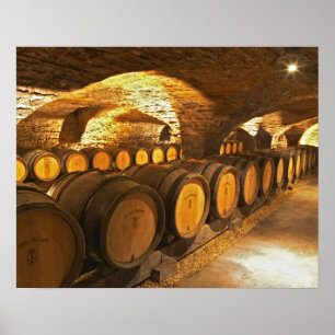 Affiches Tonneaux de chêne dans la cave au Domaine Comte