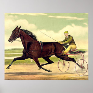 Affiches TOP Sulky Champ