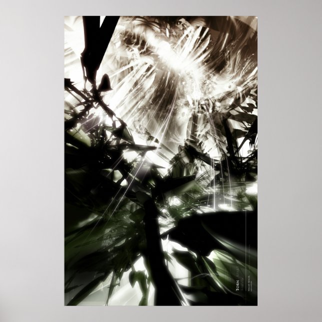 Affiches Torn (Devant)