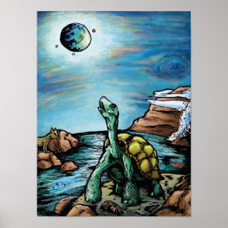 Affiches Tortoise des Galapagos