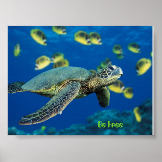 Affiches Tortue de mer verte, soyez libre