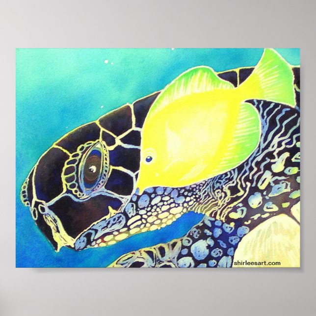 Affiches tortue et poisson (Devant)
