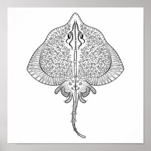 Affiches Totem inspiré 2 de pastenague