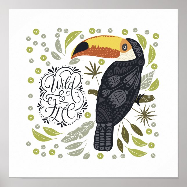 Affiches Toucan (Devant)