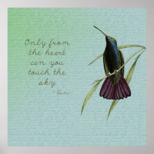 Affiches Touchez le colibri de ciel