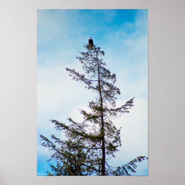 Affiches Tour de guet (Devant)