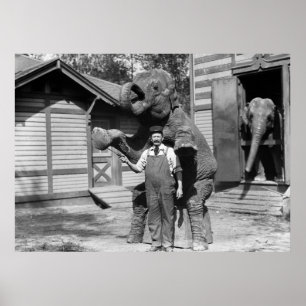Affiches Tour futé d'éléphant, les années 10