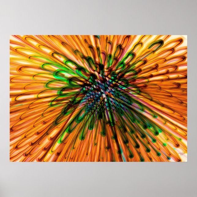 Affiches Tournesol (Devant)