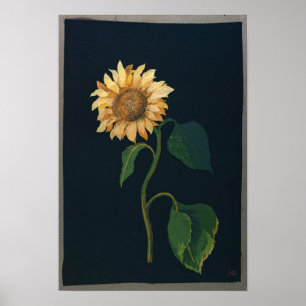 Affiches Tournesol